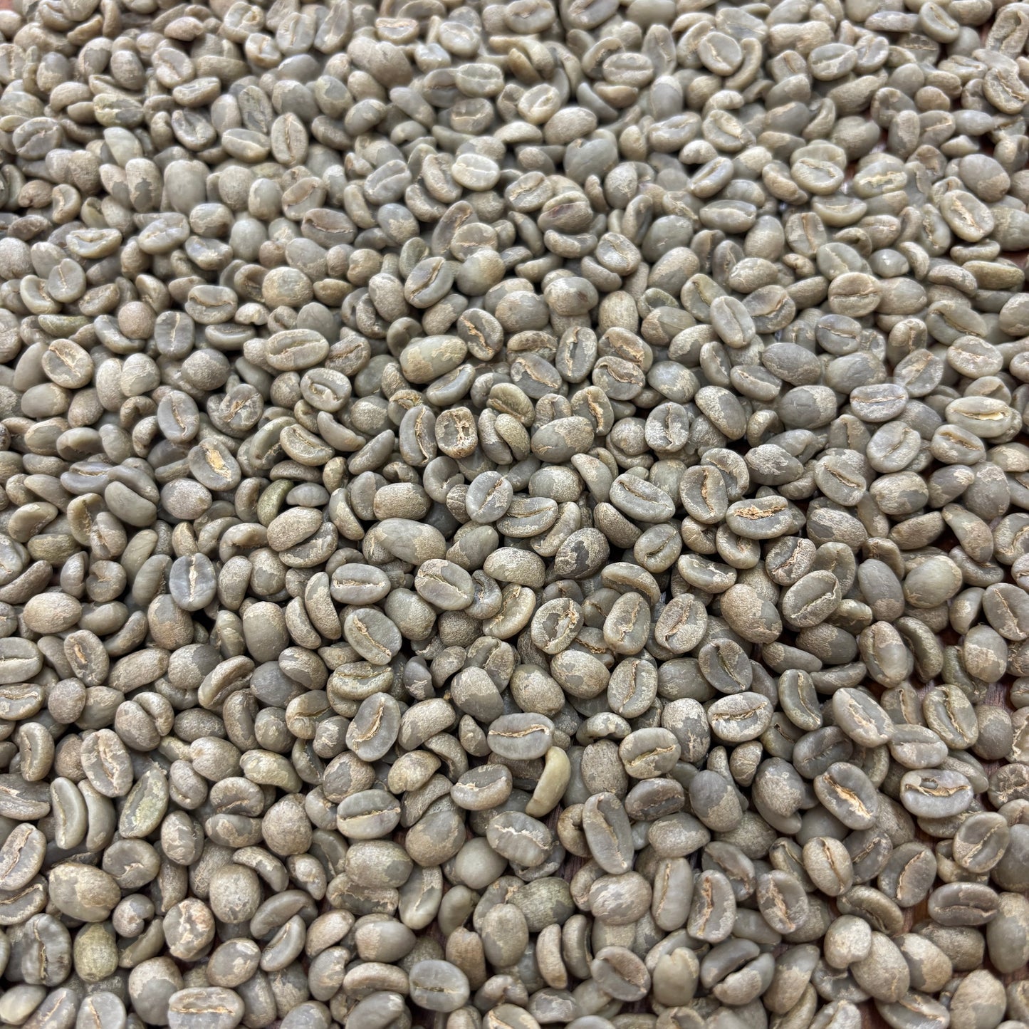 Gitare AB - Bulk Green