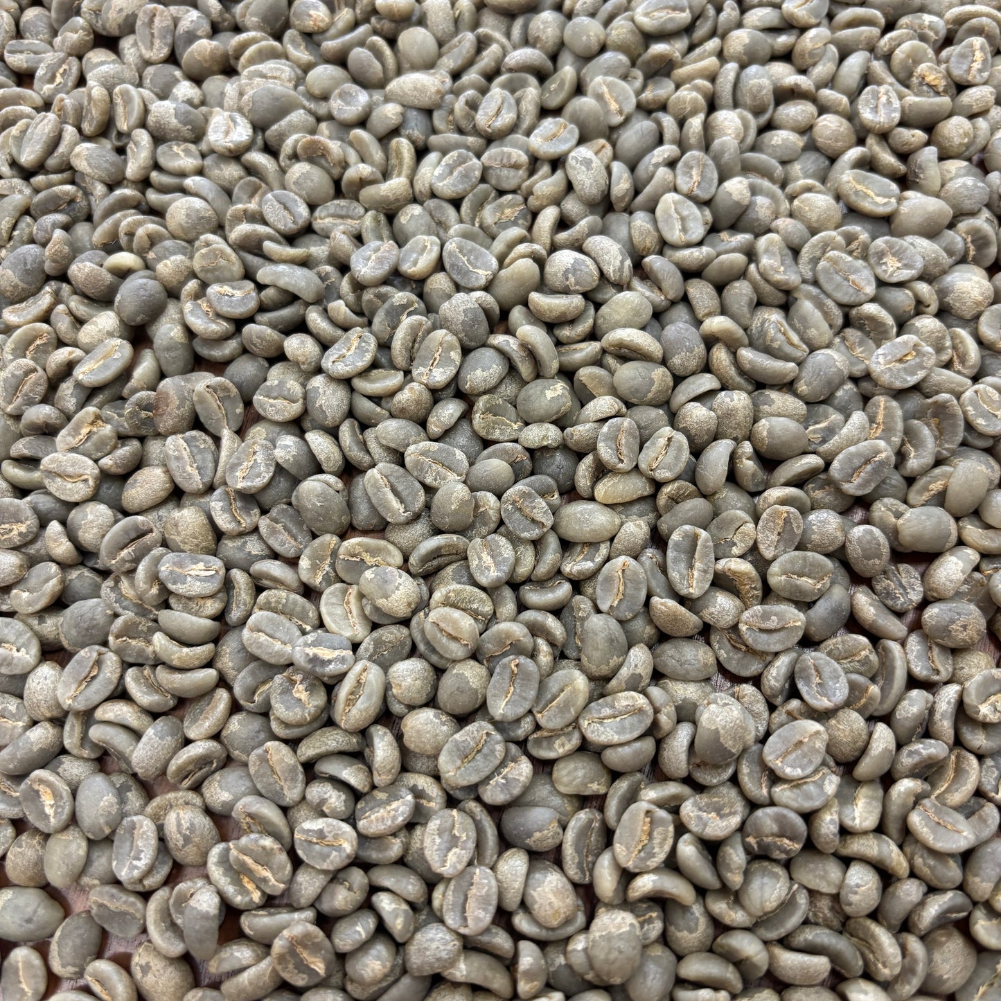 Muburi AB - Bulk Green