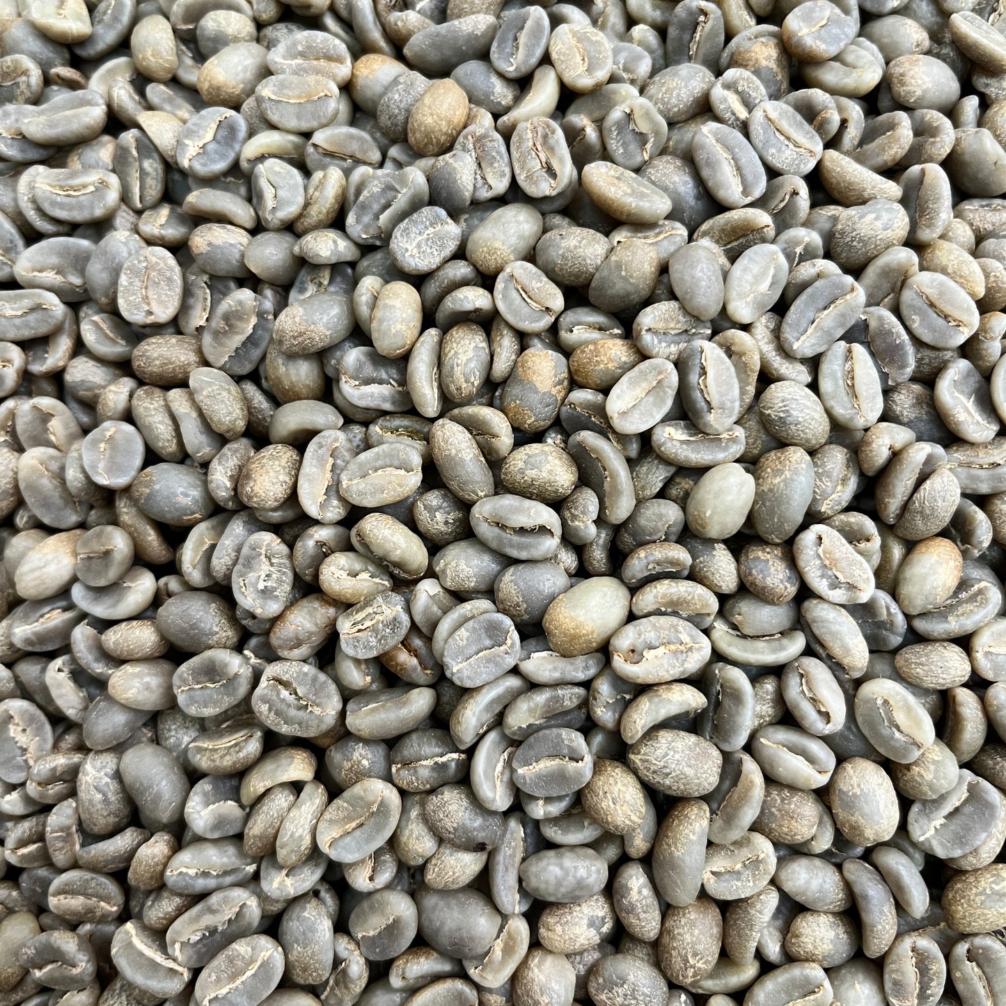 Finca El Diviso Pink Bourbon - Colombia - Green
