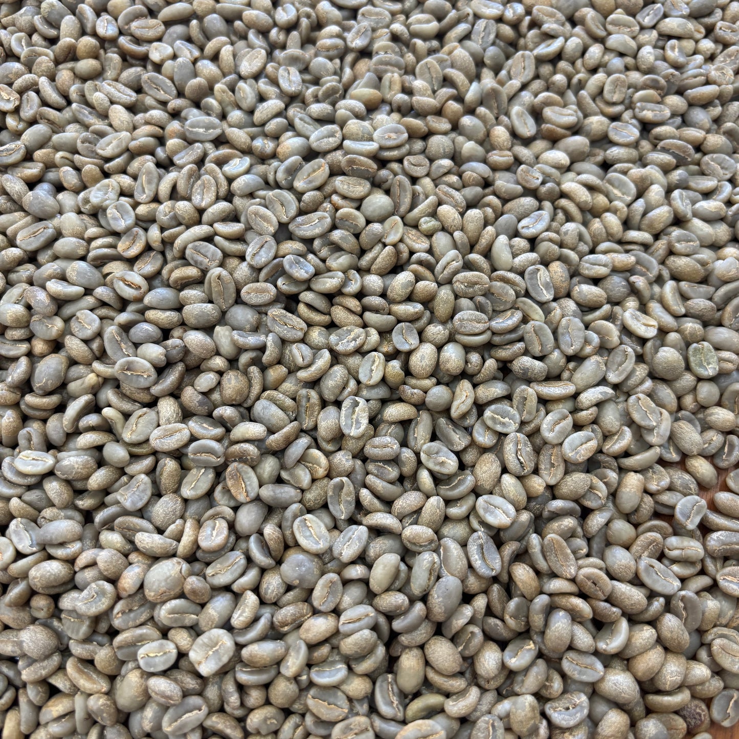 Finca El Chaferote II - washed Pink Bourbon - Green