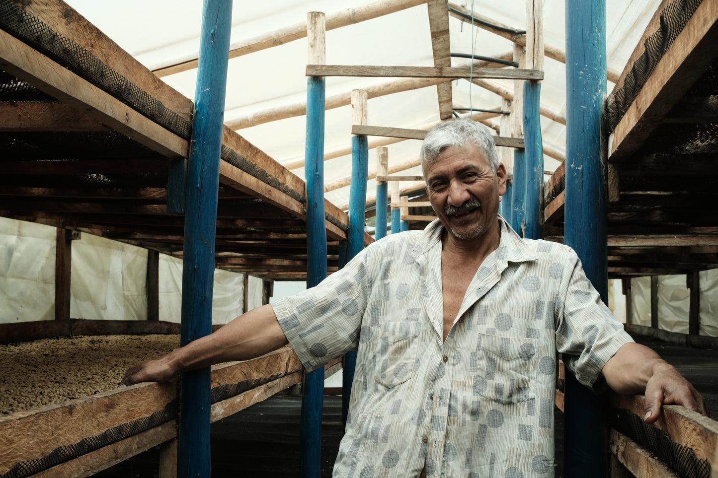 *RE-RELEASE* El Mirador Junguilla Gesha - Colombia, washed