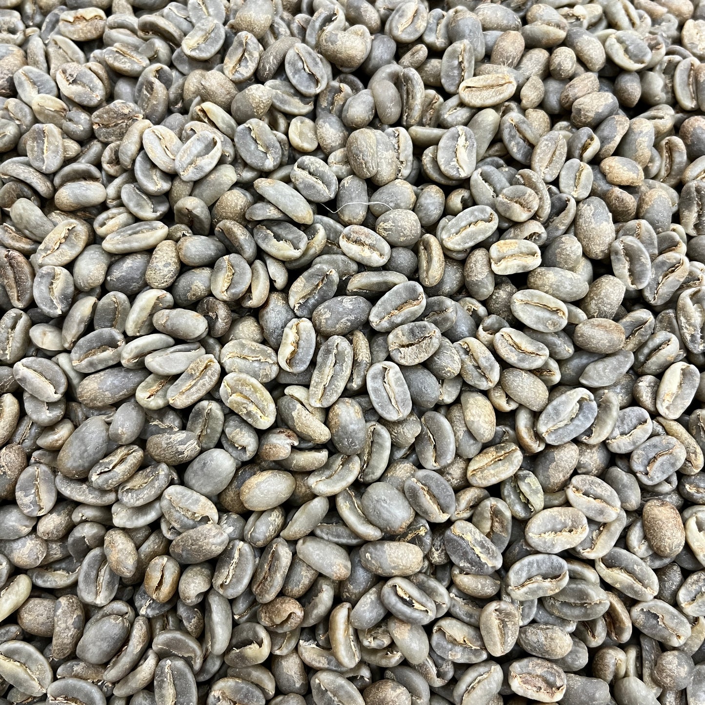 Flor Blanca Gesha - Colombia, washed - Green