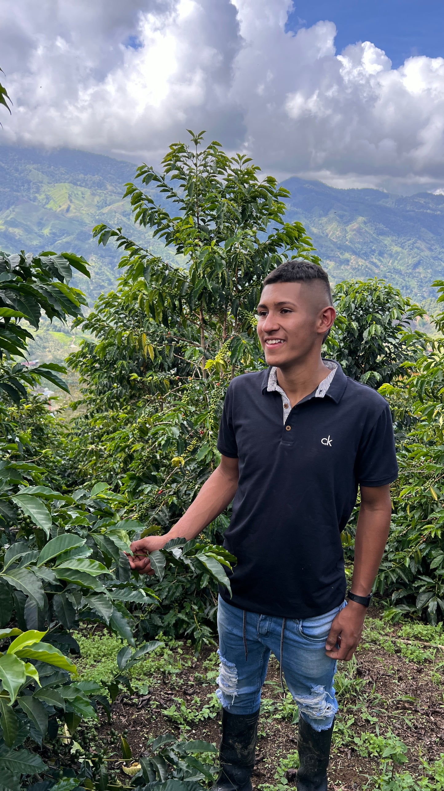 *NEW* Finca El Proceso Chiroso - Colombia, washed
