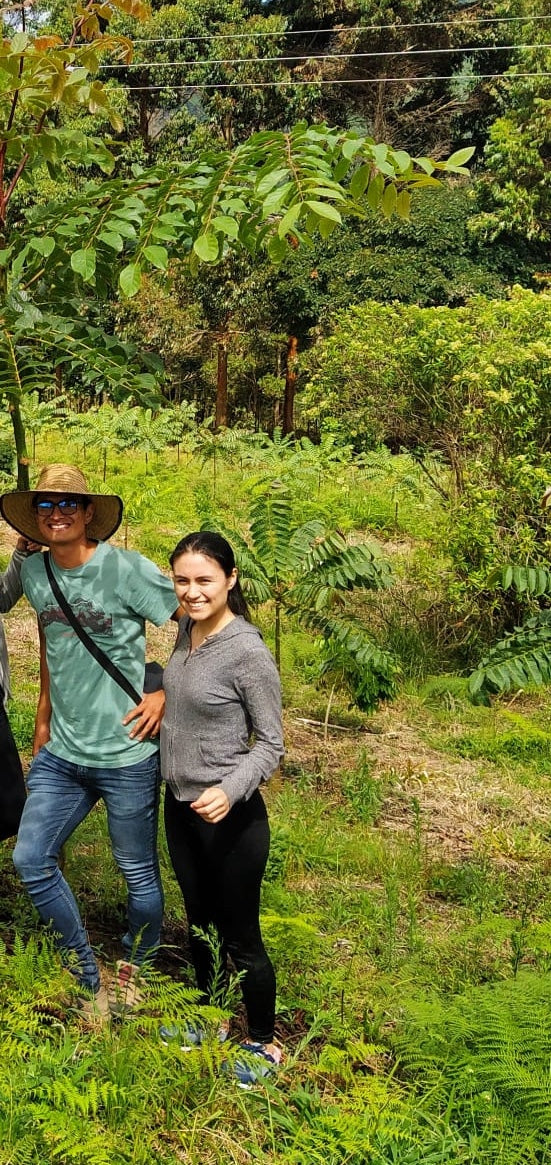 Finca El Higuerón Sidra - Colombia, washed