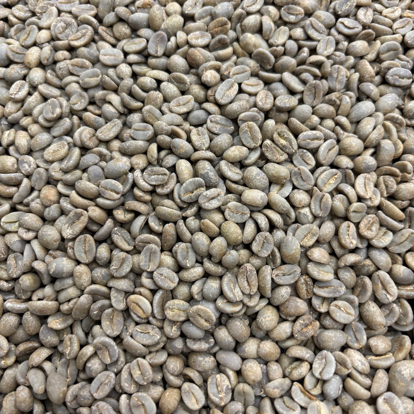 Finca Meridiano - Ecuador, anaerobic washed - Green