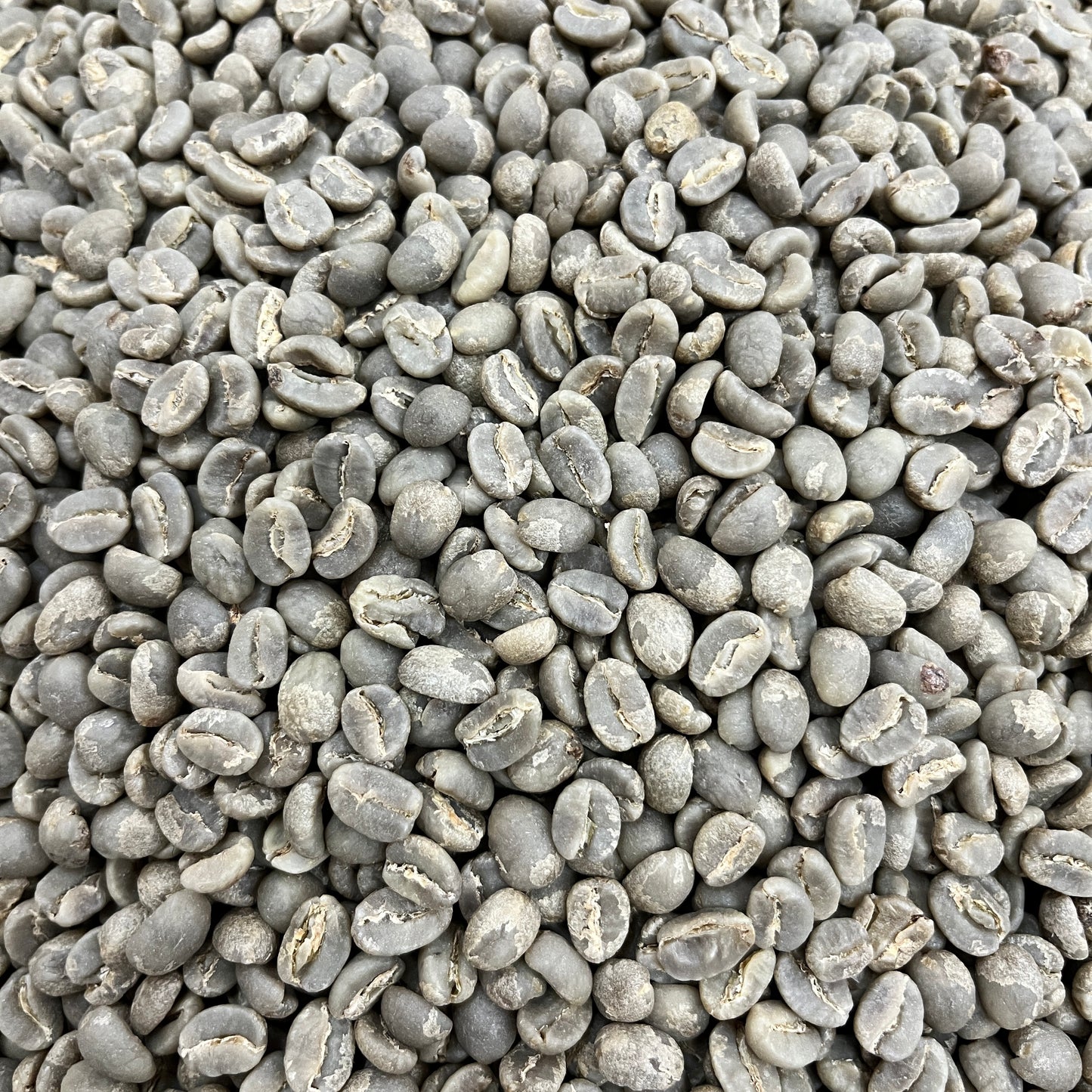Nginda AA - Kenya - Green