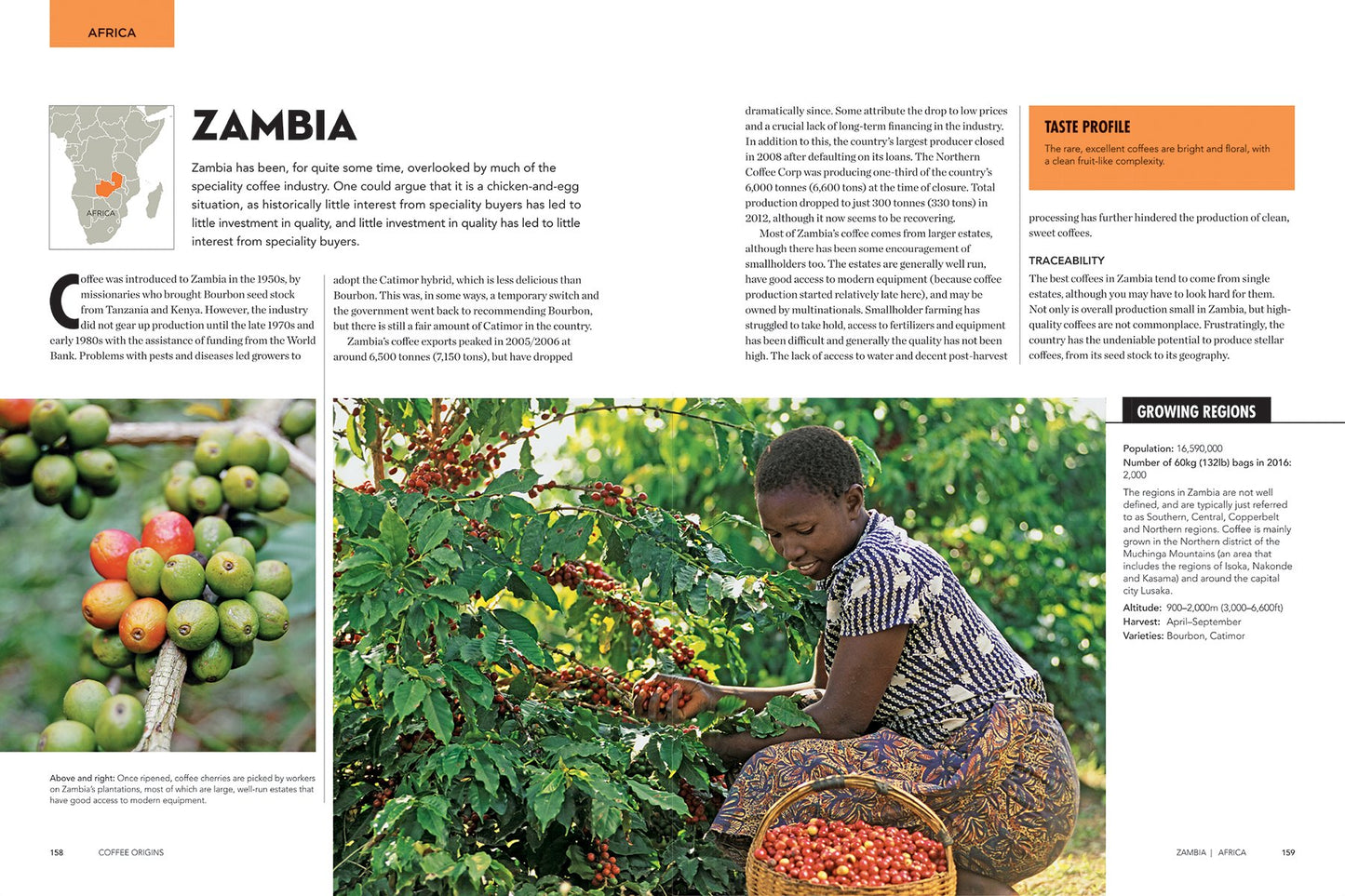 WORLD ATLAS OF COFFEE