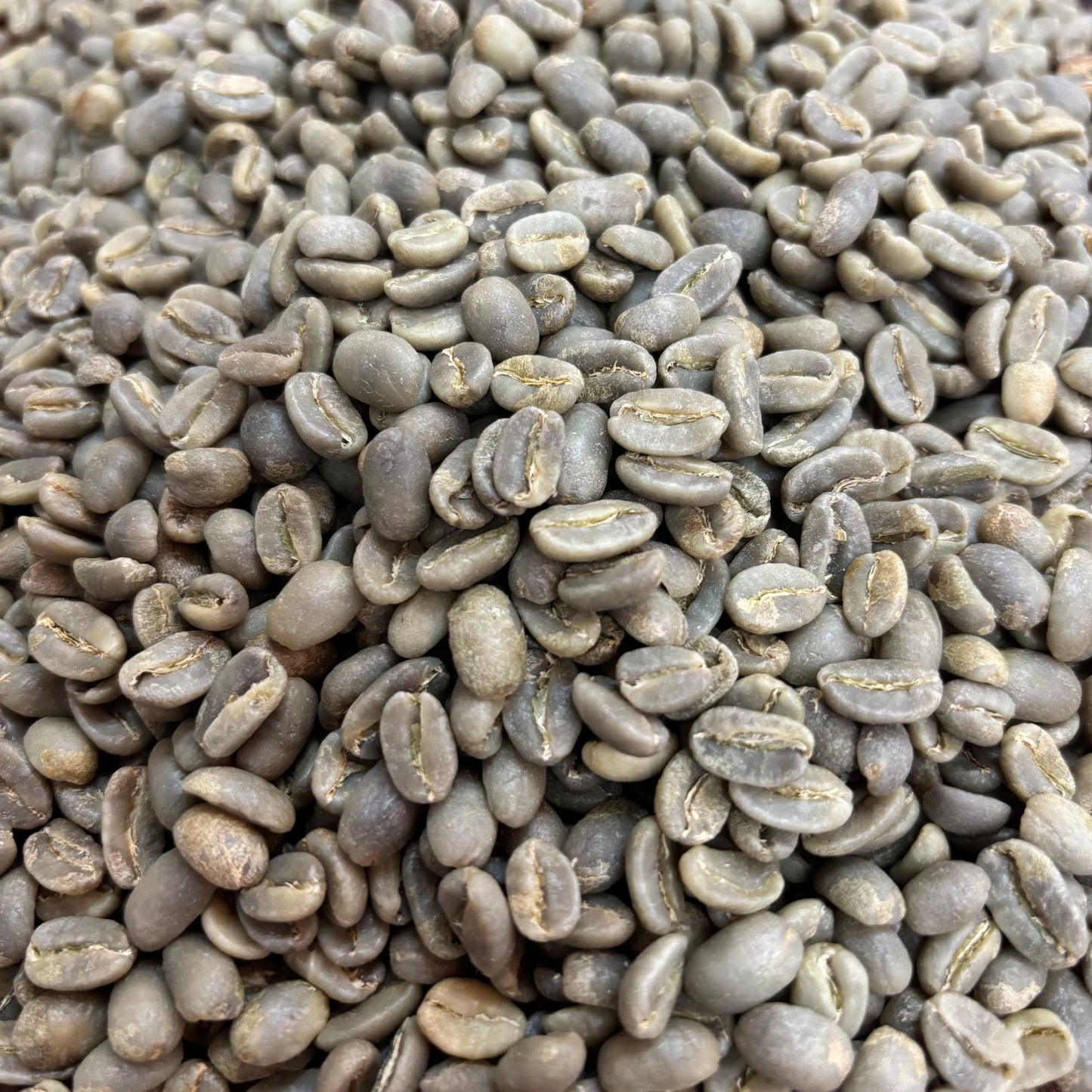 Jorge Rojas Red Bourbon - Colombia, anaerobic washed - Green