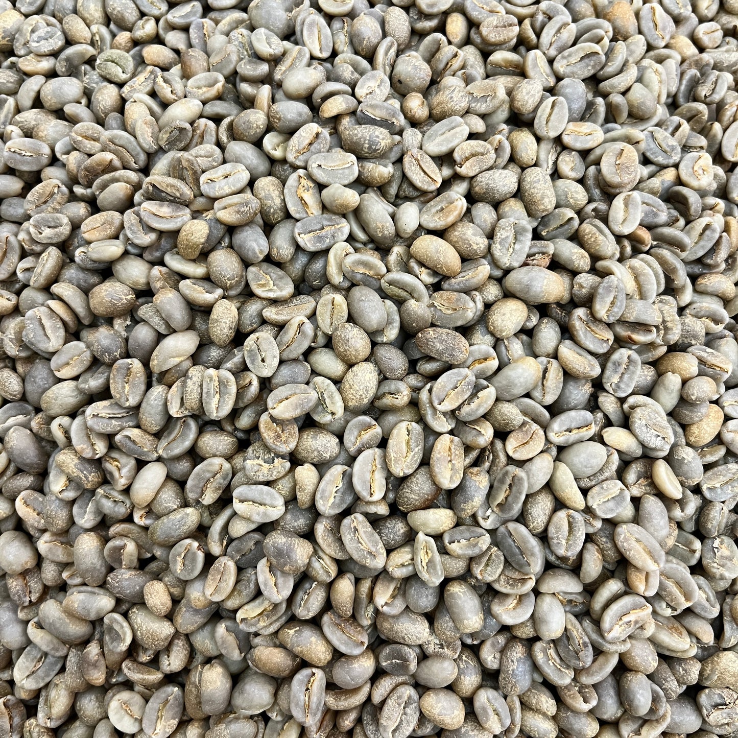 El Higuerón Sidra - Colombia, washed - Green