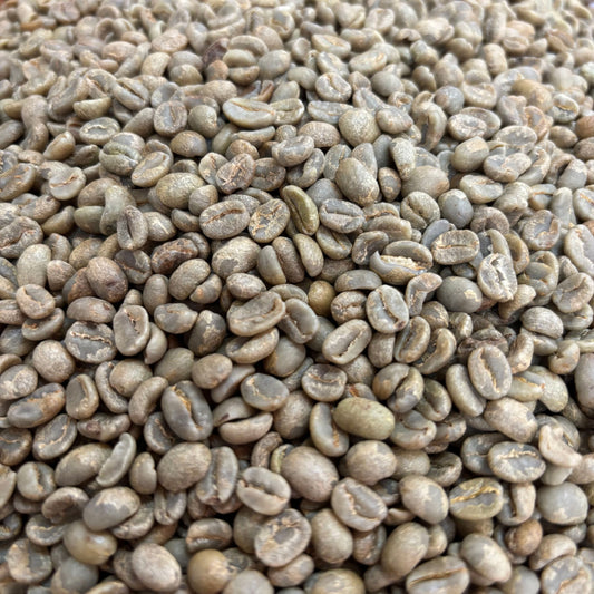 Finca Copey Geisha - Costa Rica, washed - Green