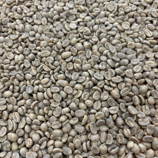 Gitare AB - Bulk Green