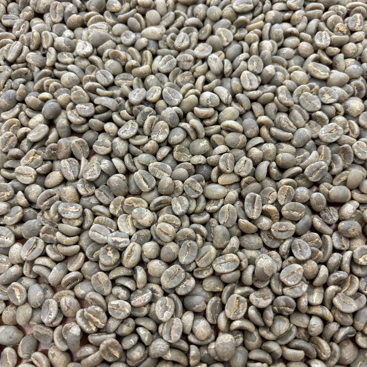 Muburi AB - Bulk Green