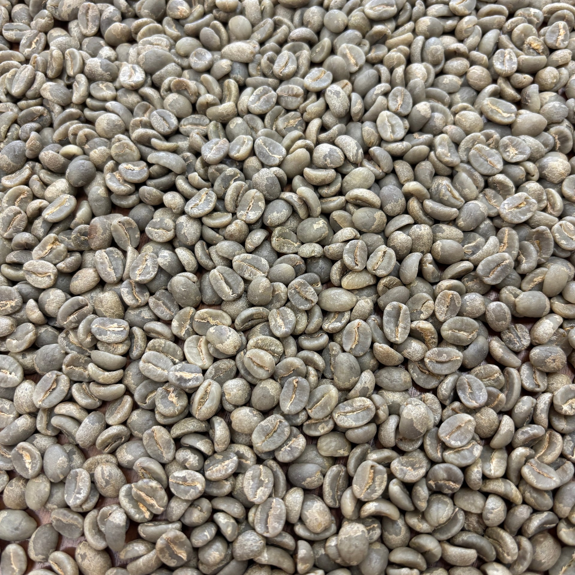 Photo of Muburi AB - Bulk Green