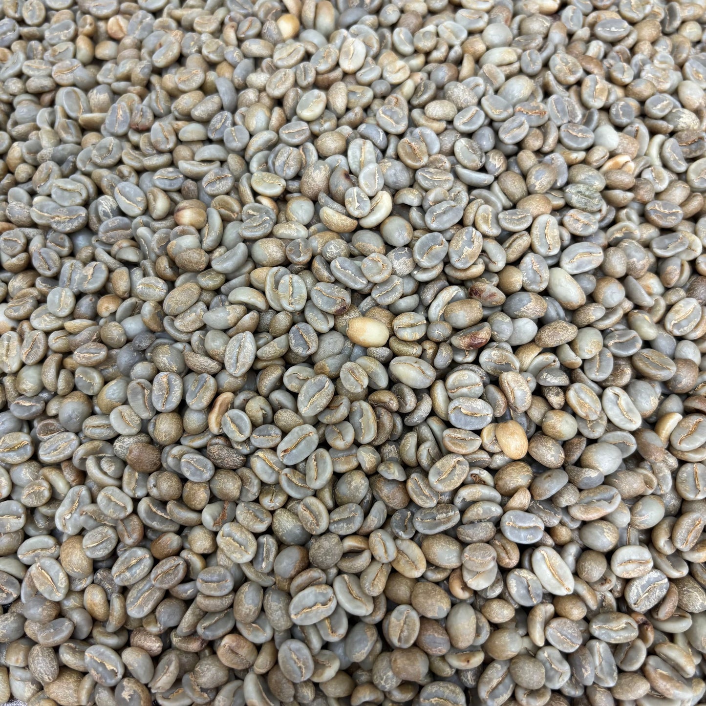 Aponte Honey - Colombia, honey - Green