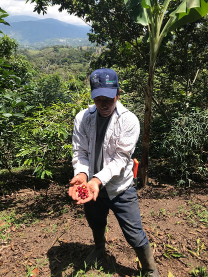 Tabi Andino Espresso