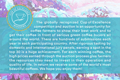 Las Virginias — 2026 Cup of Excellence Honduras #4
