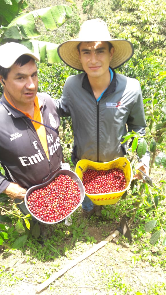 Finca El Tabor