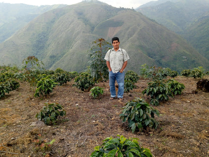 *NEW* Finca El Limón Red Bourbon - Peru, washed