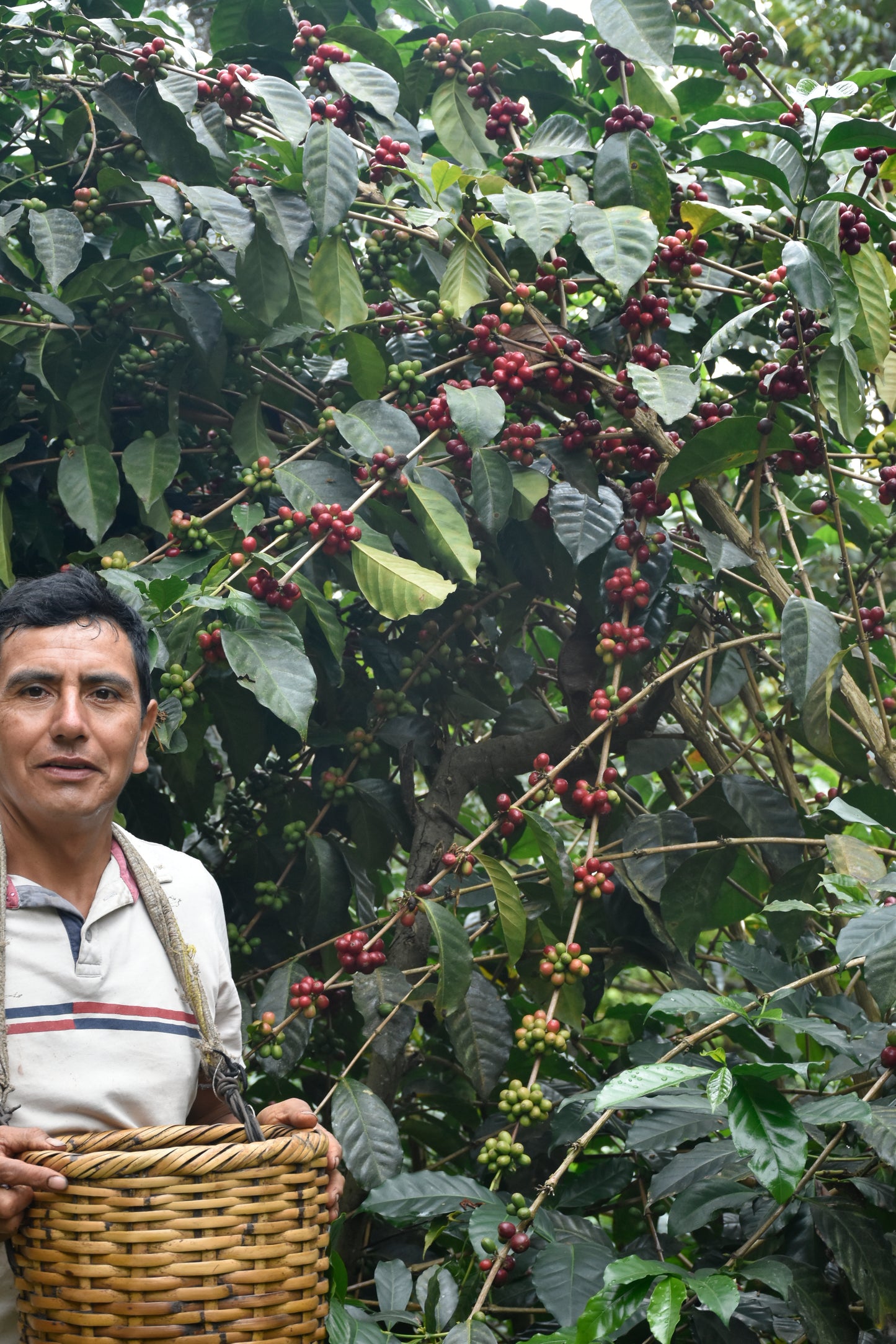 COE Peru #21 La Lima