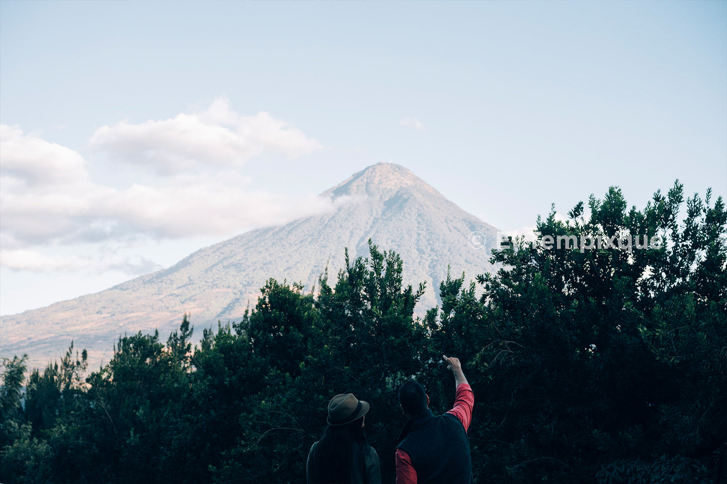 *NEW* Cup of Excellence Guatemala #7 Granja El Tempixque - Washed Catuaí