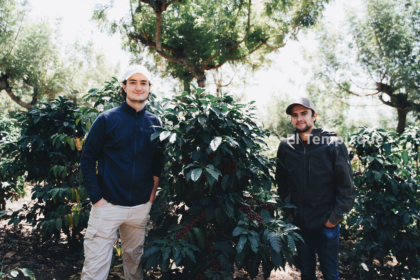 *NEW* Cup of Excellence Guatemala #7 Granja El Tempixque - Washed Catuaí