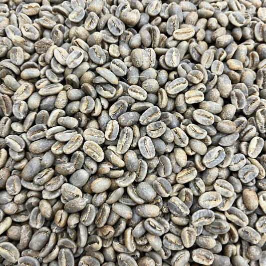 Flor Blanca Gesha - Colombia, washed - Green