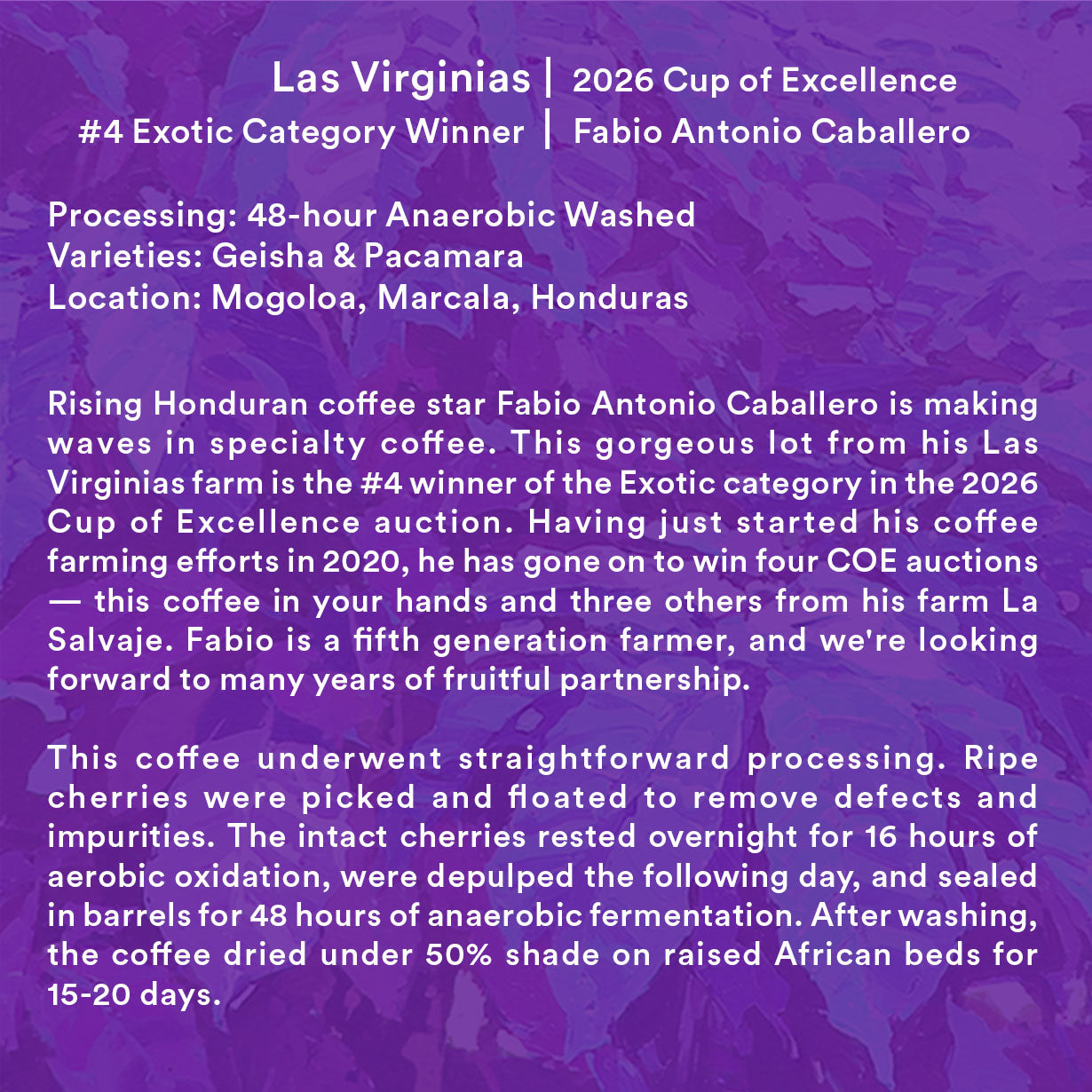 Las Virginias — 2026 Cup of Excellence Honduras #4