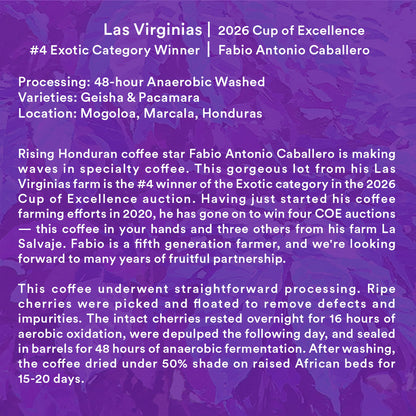 Las Virginias — 2026 Cup of Excellence Honduras #4