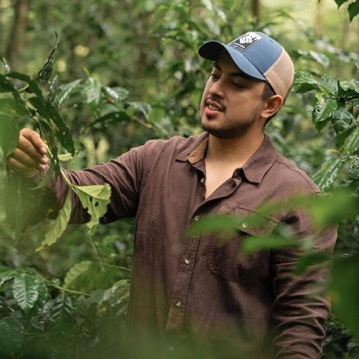 Las Virginias — 2026 Cup of Excellence Honduras #4