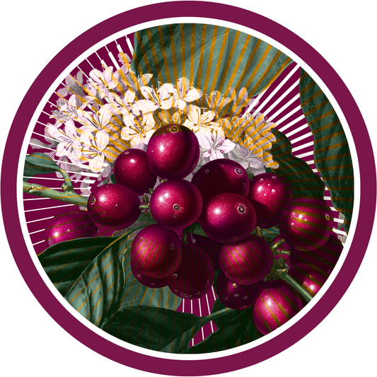 Prodigal Holiday Party - 2025