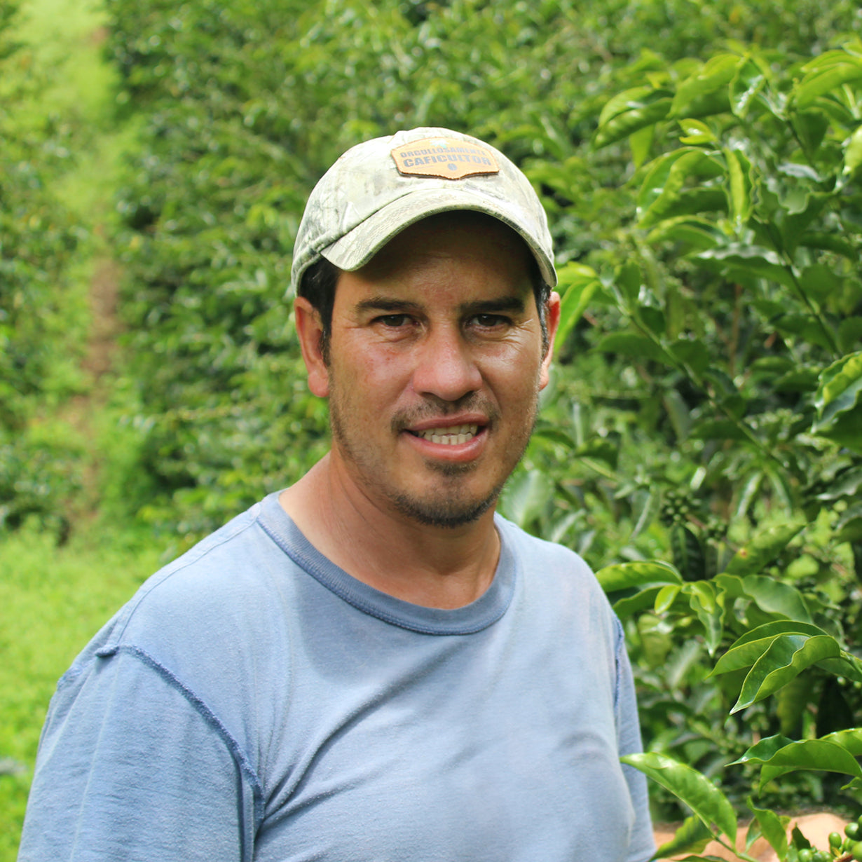 *NEW* Cup of Excellence Honduras Box Set - 2025