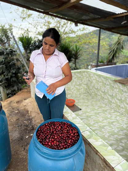Maribel Hererra Geisha/Caturra - Peru, washed