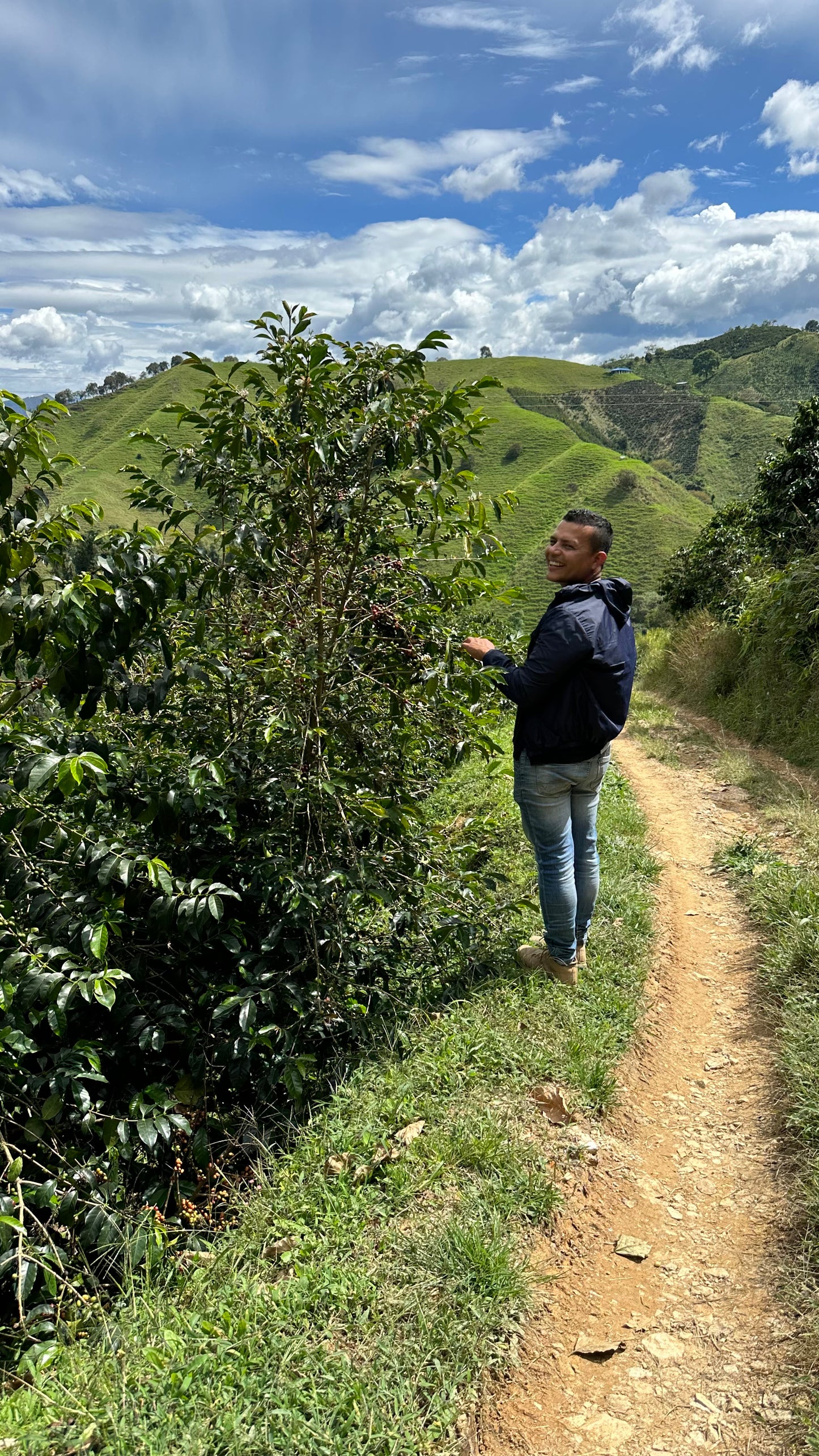 La Esperanza Tabi II - Colombia, anaerobic washed