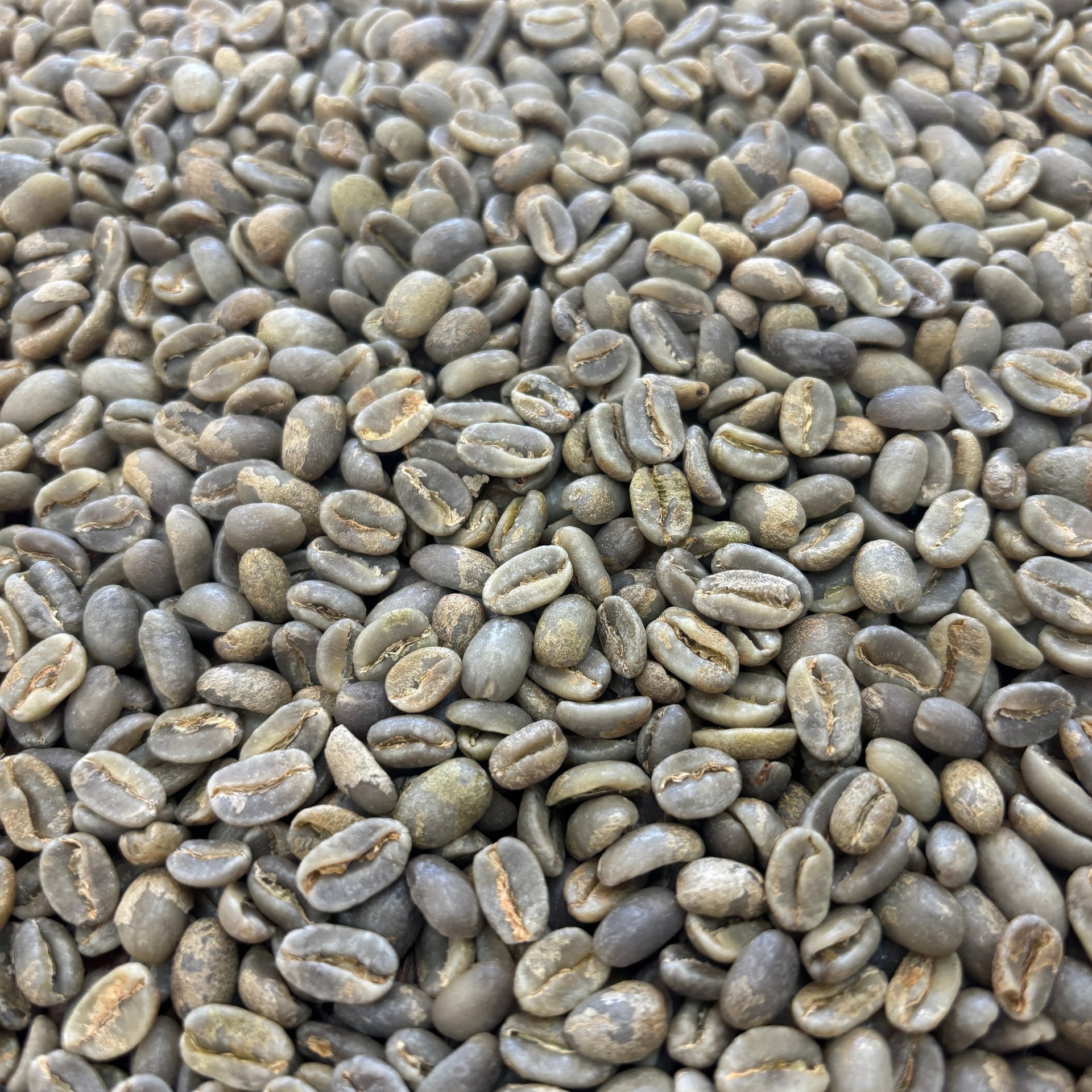 Photo of La Roca Iv Jorge Rojas White Honey Geisha
