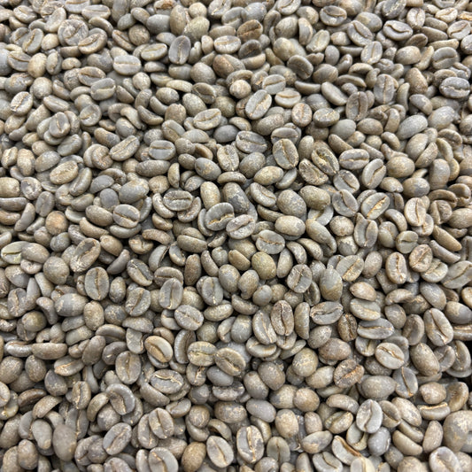 Finca Meridiano - Ecuador, anaerobic washed - Green
