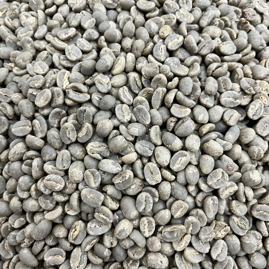 Nginda AA - Kenya - Green
