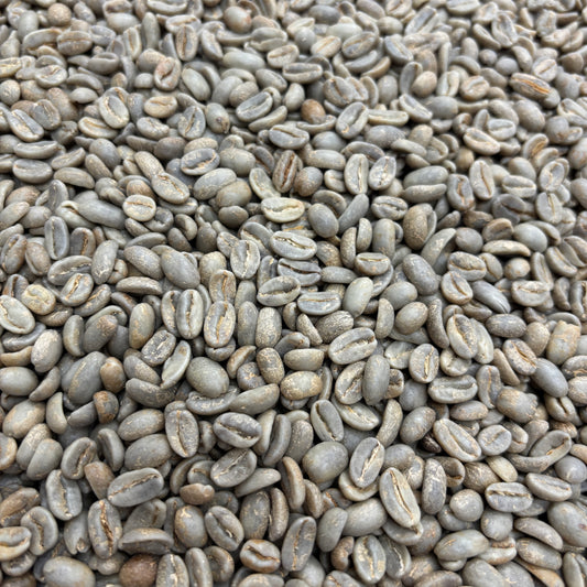 Santa Teresa COE #7 Geisha - Costa Rica, Washed - Green