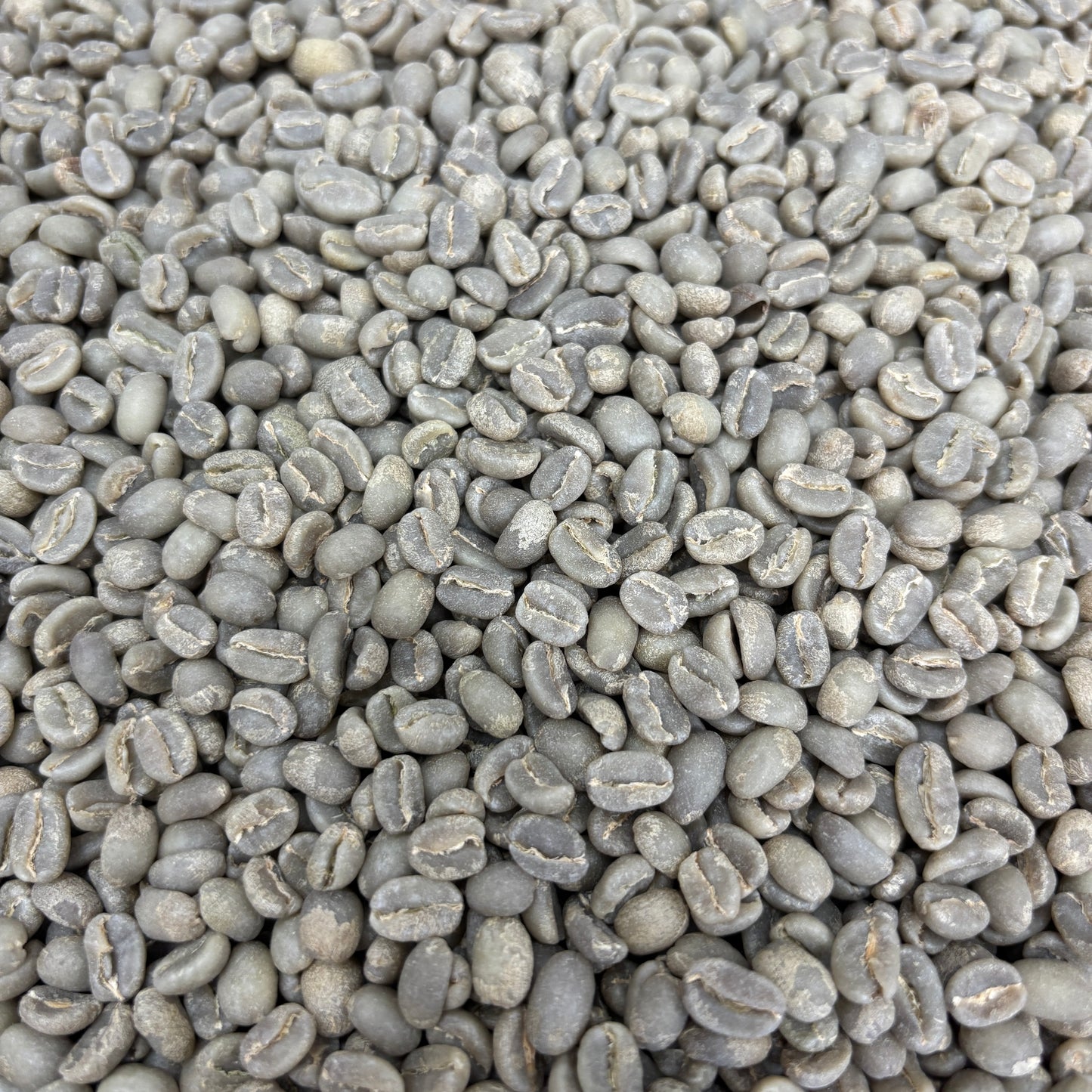 Tagel Alemayehu G1 - Ethiopia, washed - Green