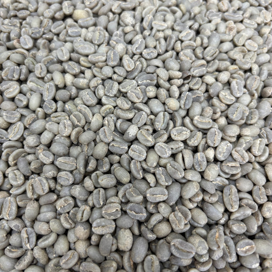Tagel Alemayehu G1 - Ethiopia, washed - Green