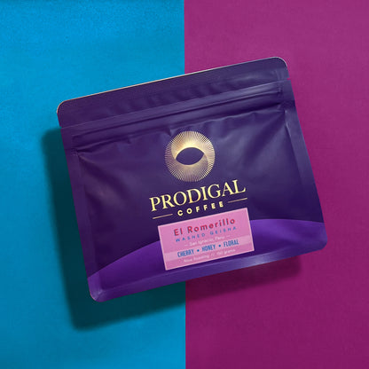 *NEW* El Romerillo Geisha - Peru, washed