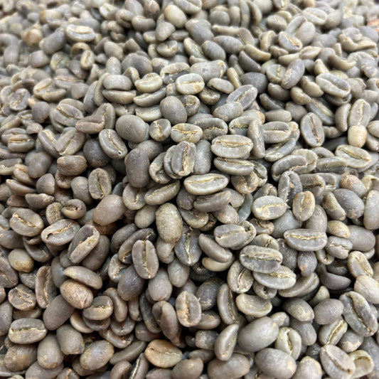 Jorge Rojas Red Bourbon - Colombia, anaerobic washed - Green