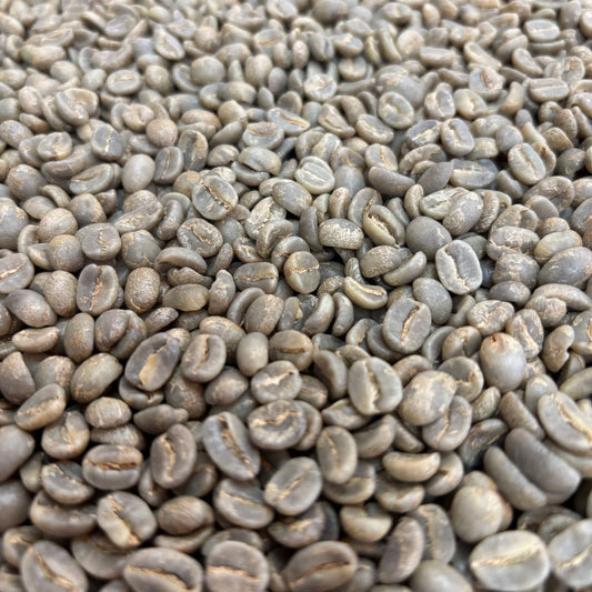 COE Honduras #10 Las Acacias Washed Pacas - Green