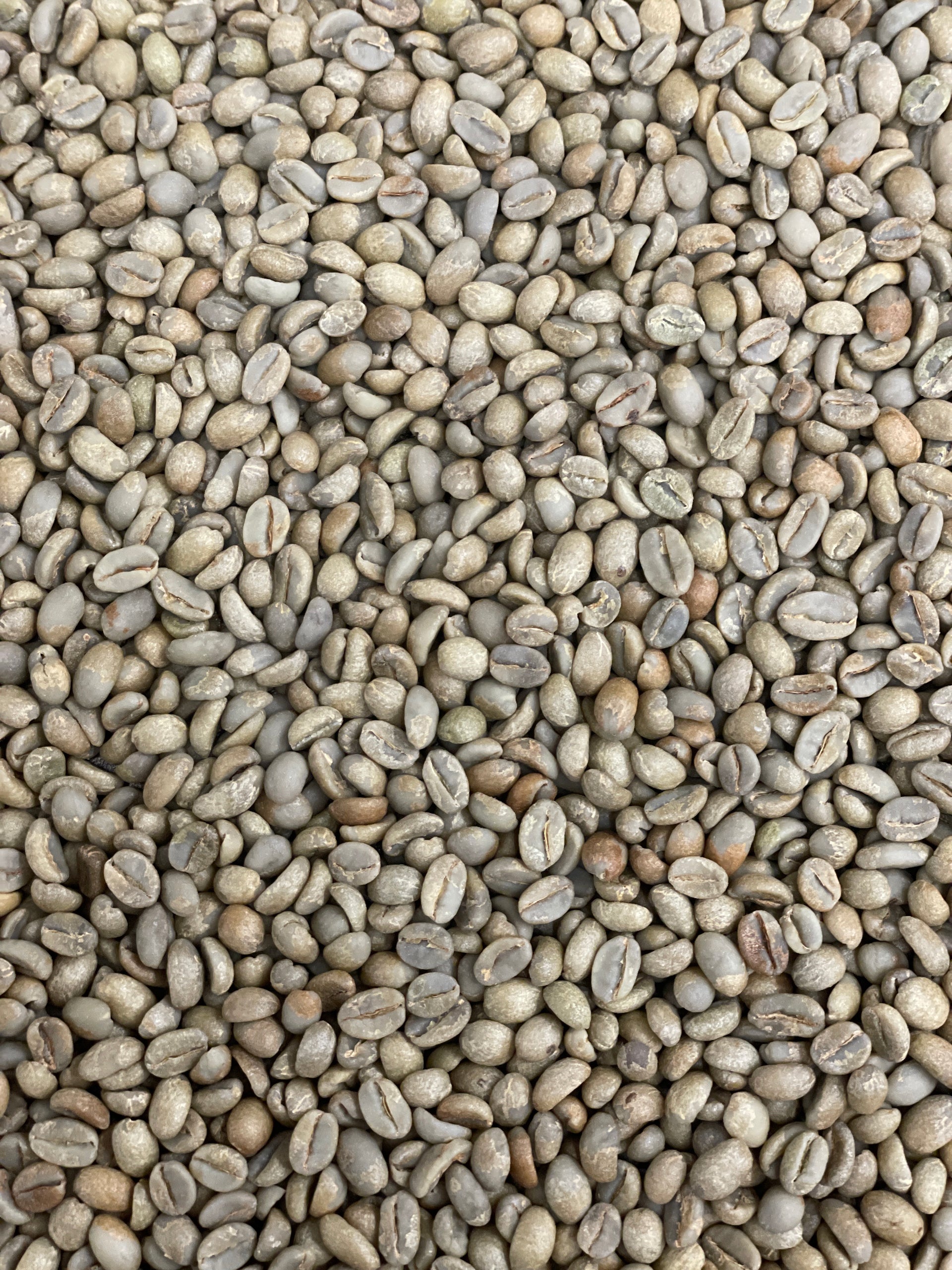 Photo of Nensebo G1 1