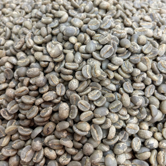 Wilder Lazo Bella Alejandria Lot 3 Geisha - Colombia, anaerobic washed - Green