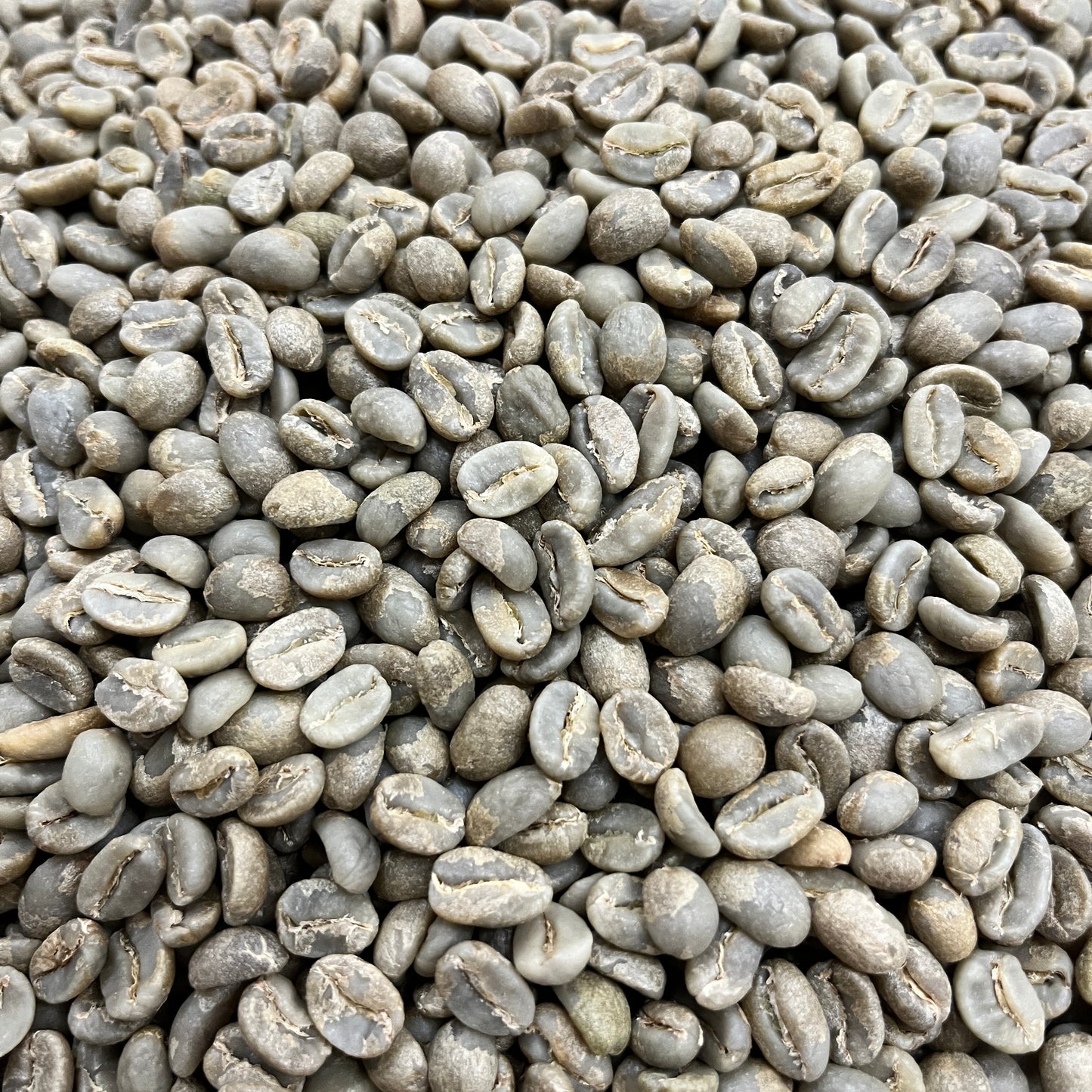 Las Perlitas Lot 6 - Colombia, washed - Green
