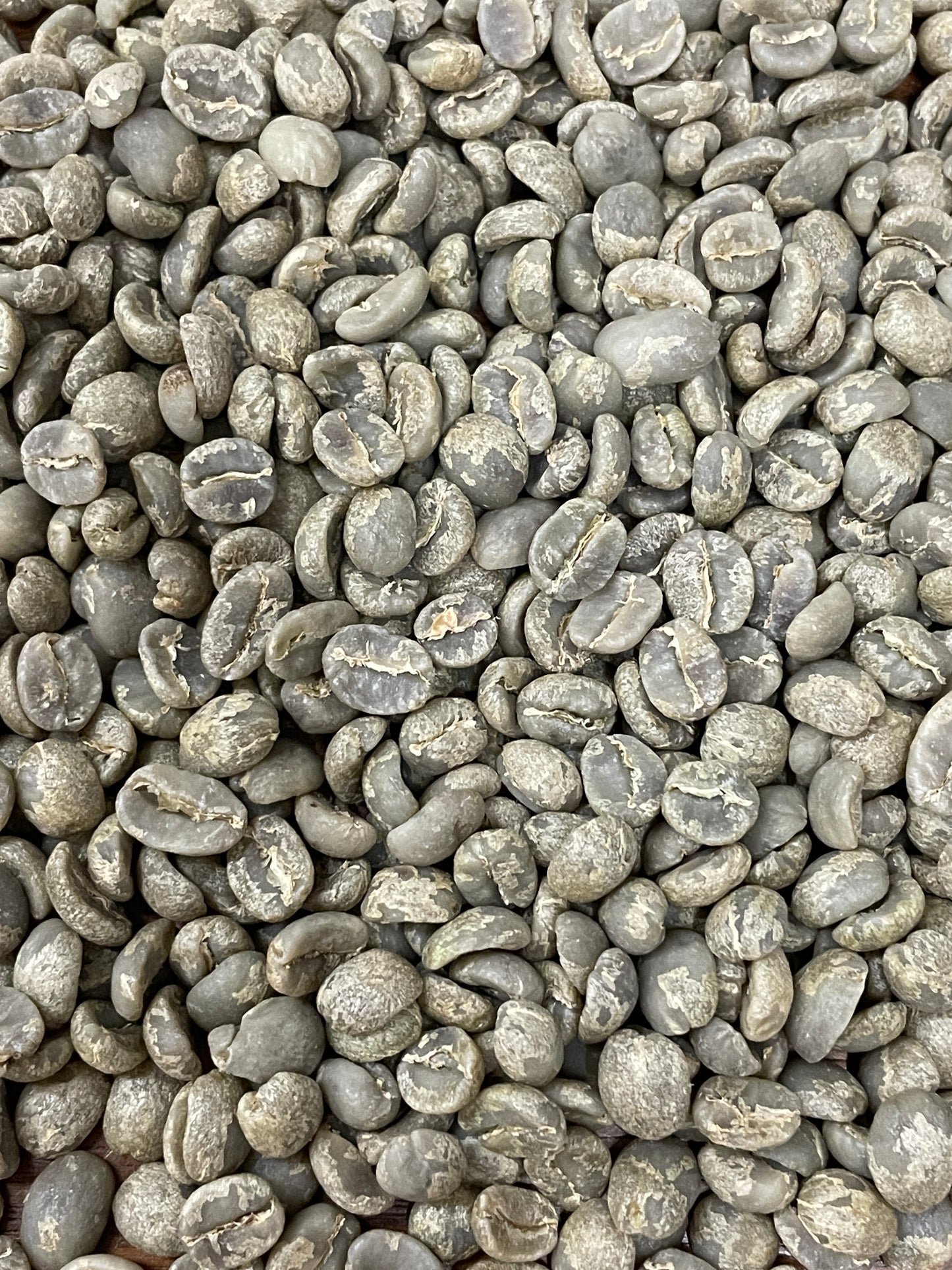 Granja El Tempixque COE #7 Catuai - Guatemala, washed - Green