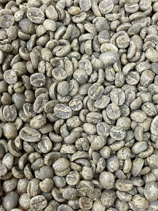 Granja El Tempixque COE #7 Catuai - Guatemala, washed - Green